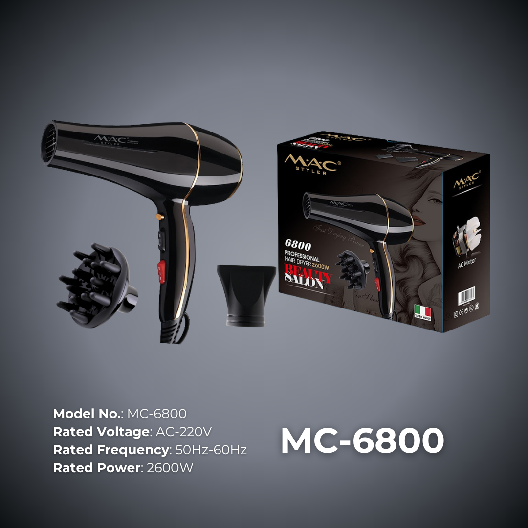Fast Drying Professional Dryer Blower MC6800