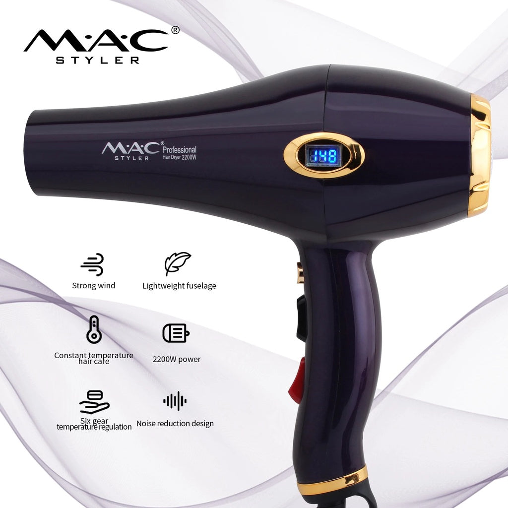Professional Ionic Dryer Blower in Black & Gold MC6685