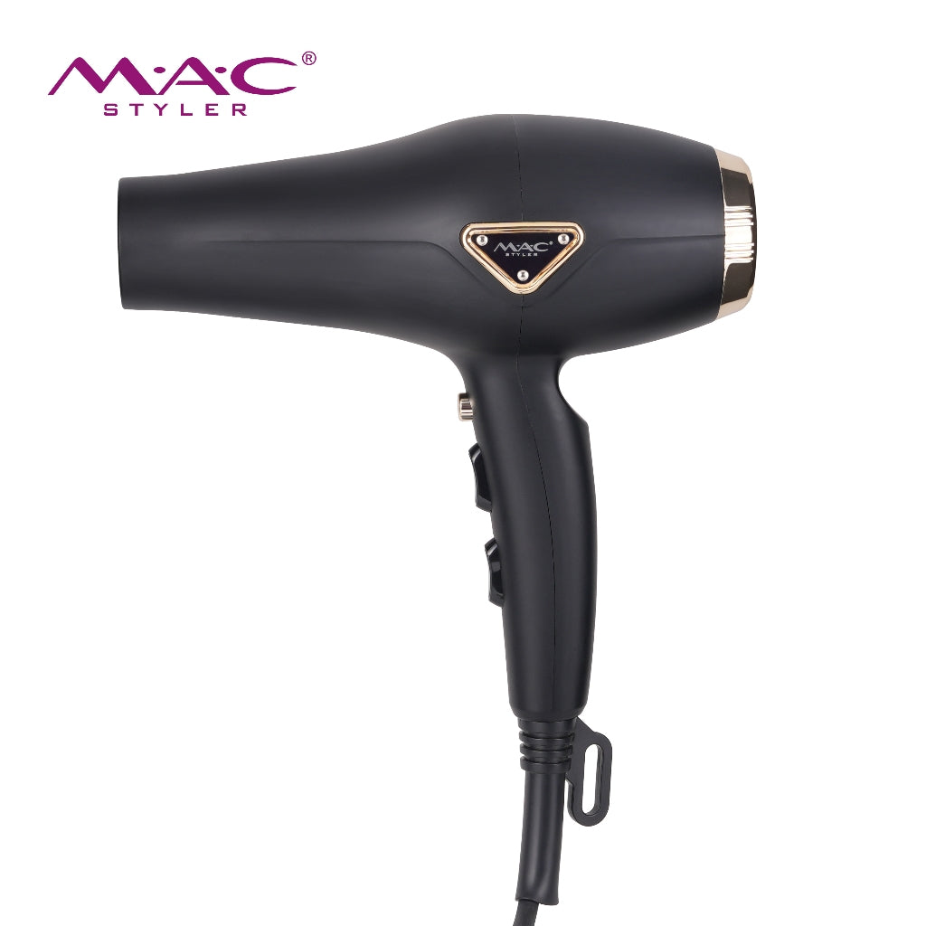 High Speed Professional Dryer Blower MC6695A