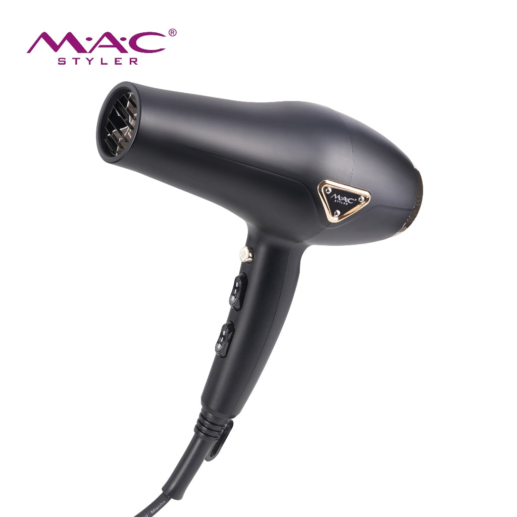 High Speed Professional Dryer Blower MC6695A