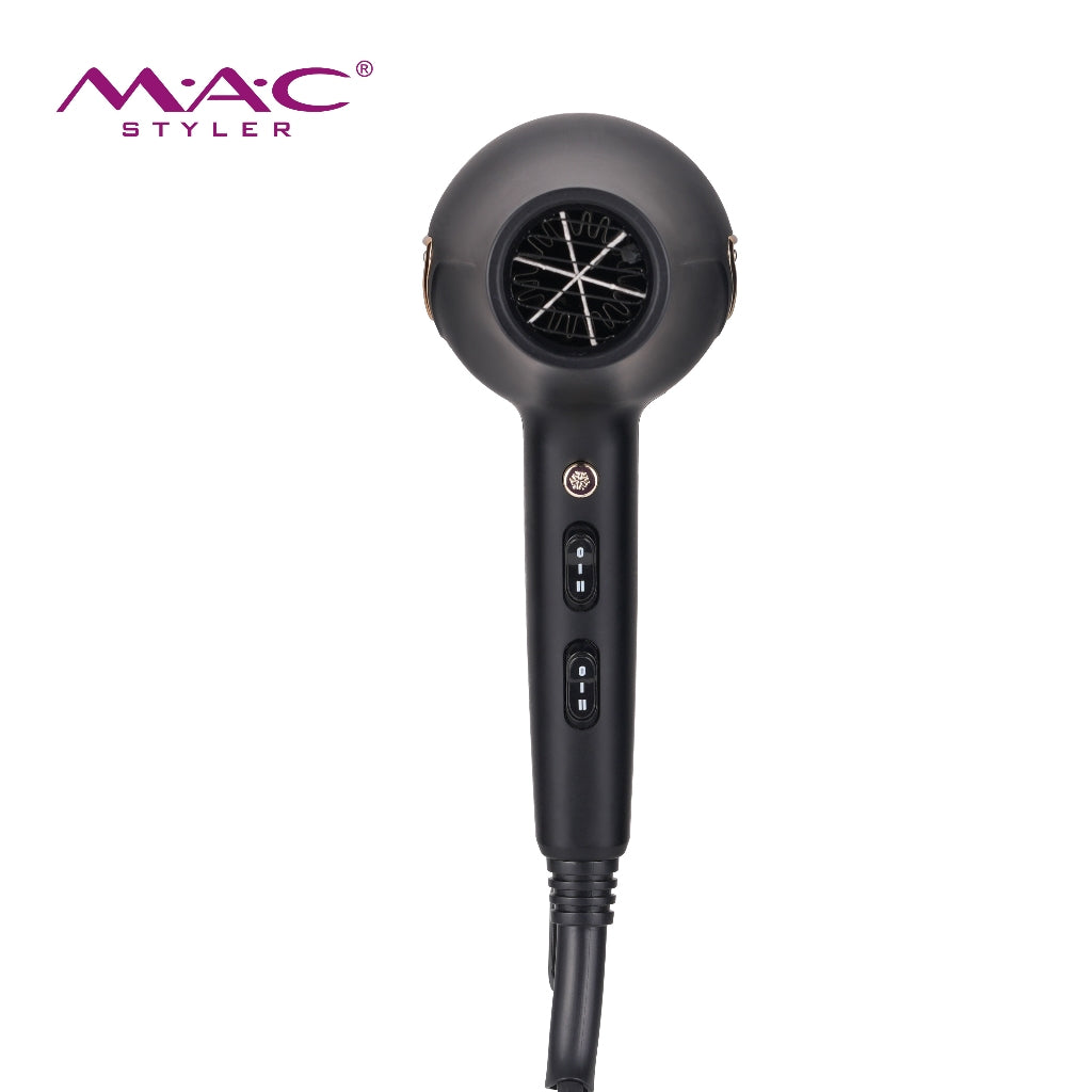 High Speed Professional Dryer Blower MC6695A