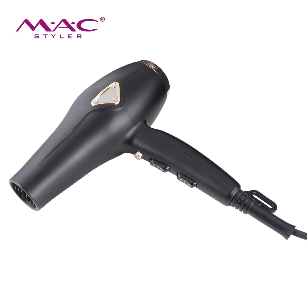 High Speed Professional Dryer Blower MC6695A