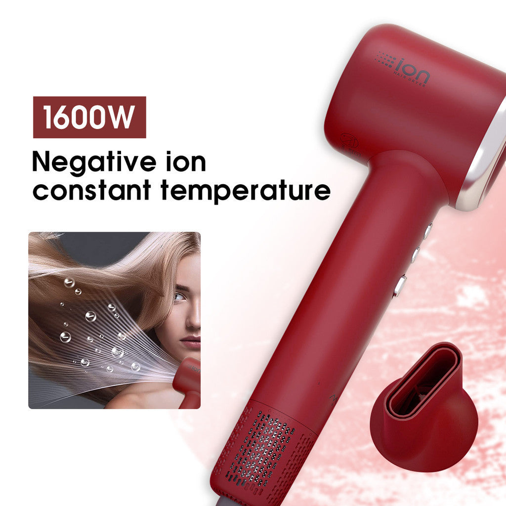 Portable Professional High Speed Dryer Blower MC6609