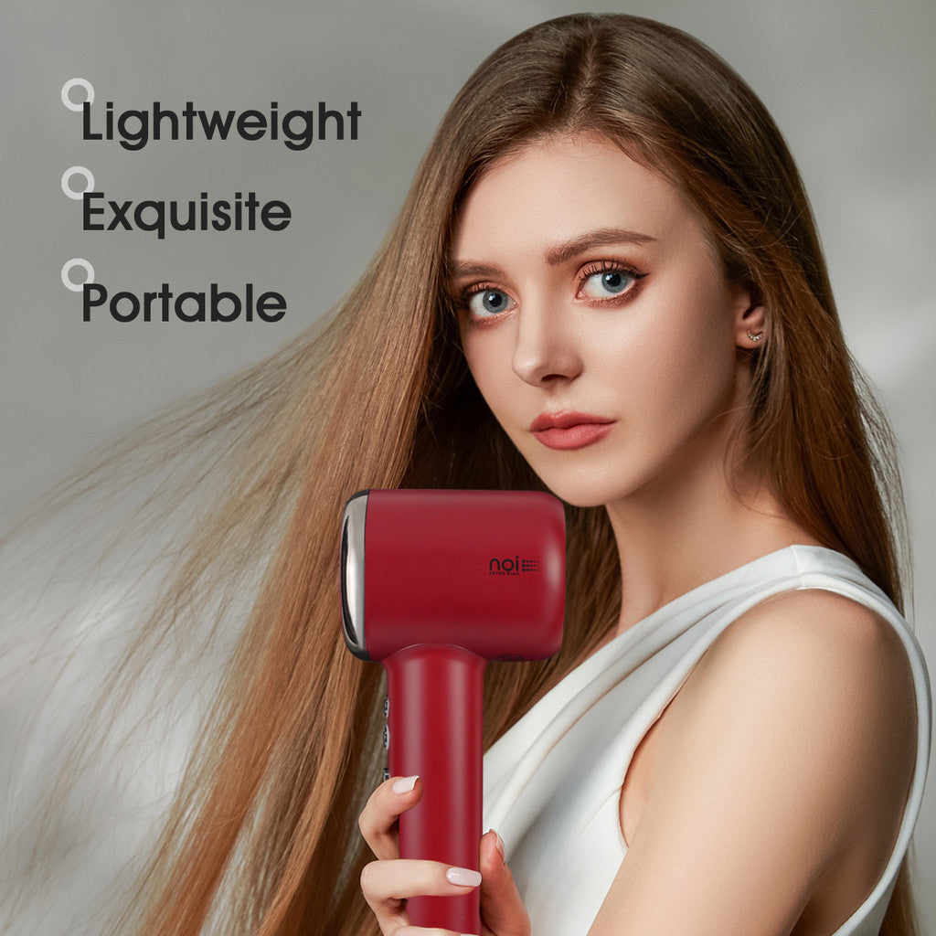 Portable Professional High Speed Dryer Blower MC6609