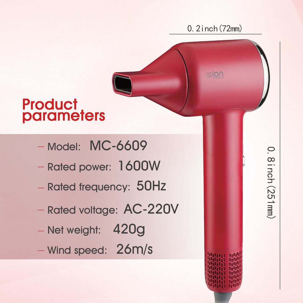 Portable Professional High Speed Dryer Blower MC6609