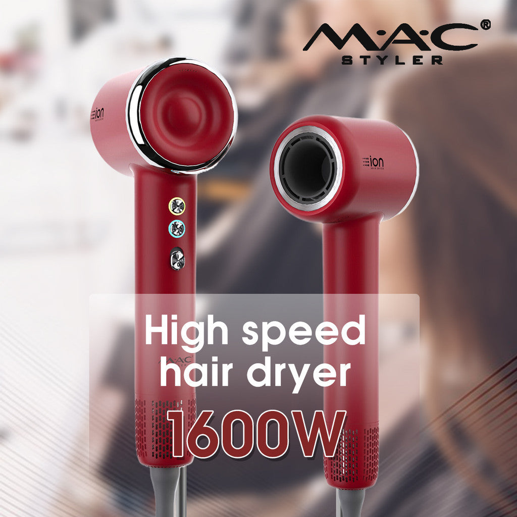 Portable Professional High Speed Dryer Blower MC6609