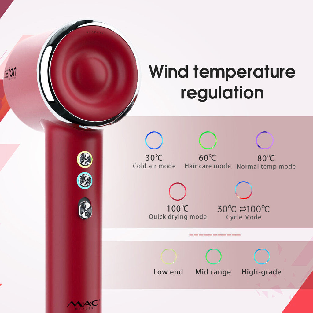 Portable Professional High Speed Dryer Blower MC6609