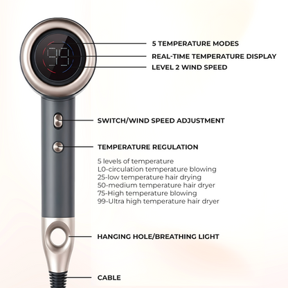 Professional Portable Self-Cleaning Silver Dryer Blower for Travel MC-H02(C)