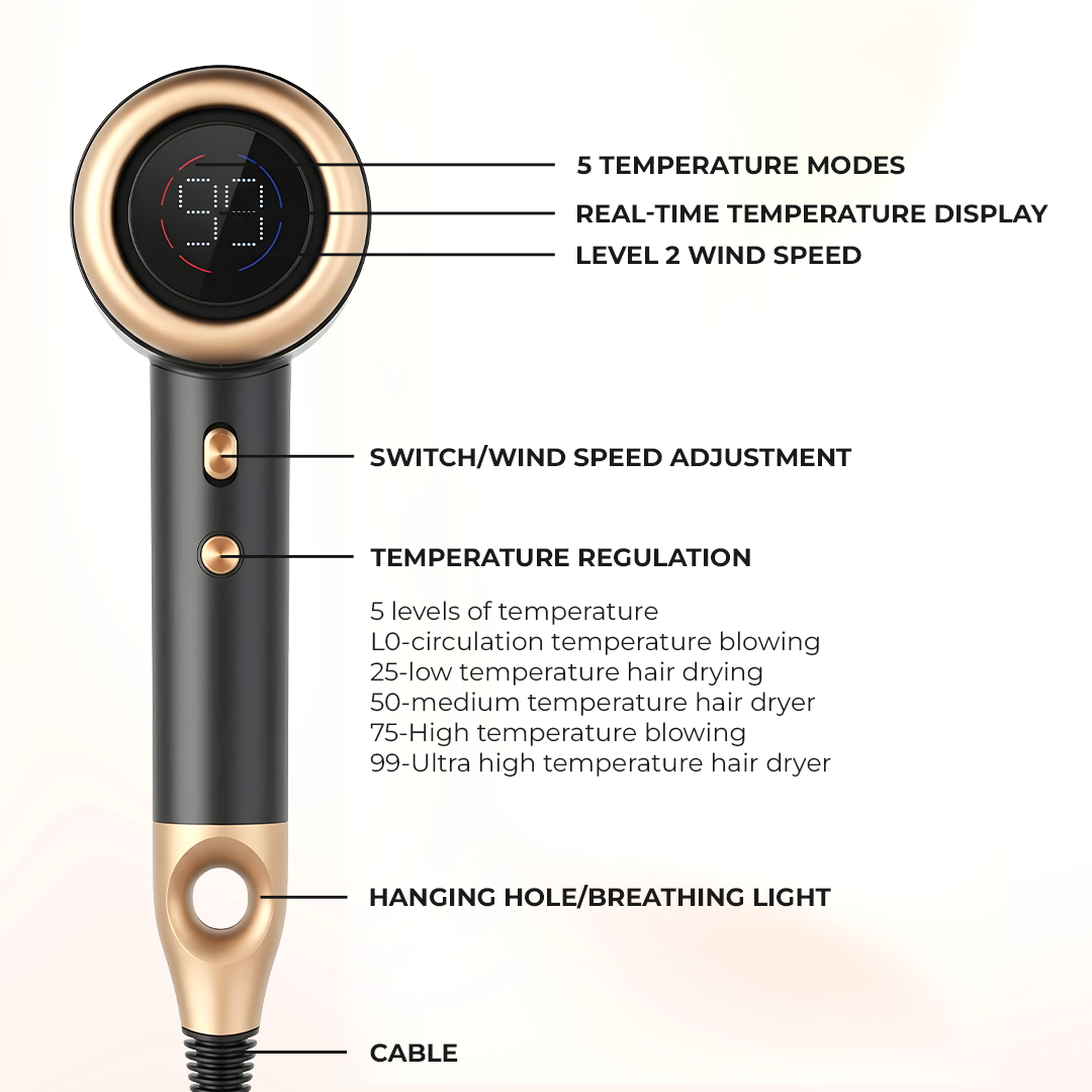 Professional Portable Self-Cleaning Gold Dryer Blower for Travel MC-H02(G)