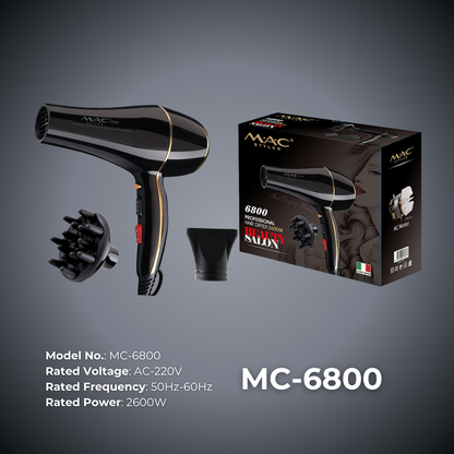 Fast Drying Professional Dryer Blower MC6800