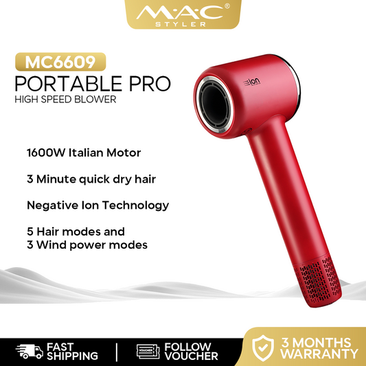 Portable Professional High Speed Dryer Blower MC6609