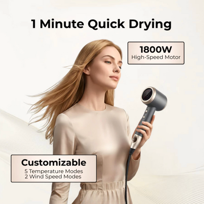 Professional Portable Self-Cleaning Silver Dryer Blower for Travel MC-H02(C)