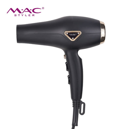 High Speed Professional Dryer Blower MC6695A