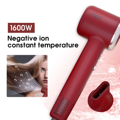 Portable Professional High Speed Dryer Blower MC6609