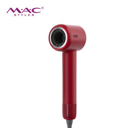 Portable Professional High Speed Dryer Blower MC6609